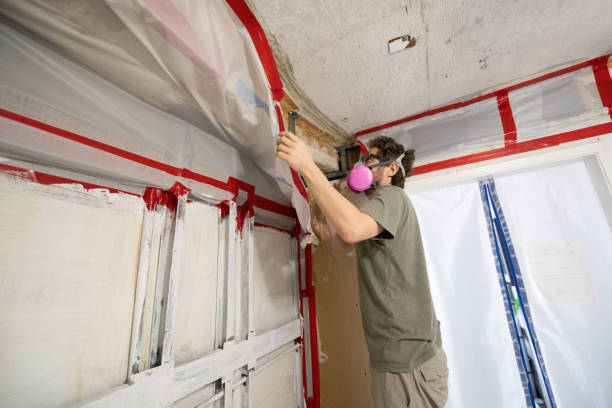 Best Dehumidification Services  in Alpine, NJ
