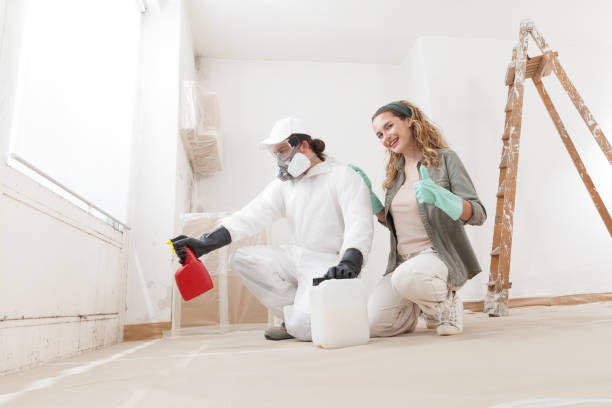 Professional Mold Removal in Alpine, NJ