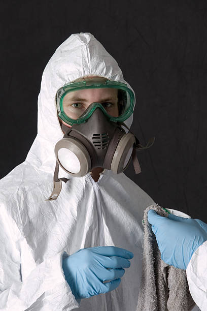 Best Attic Mold Removal  in Alpine, NJ